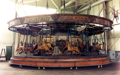 gallopers5