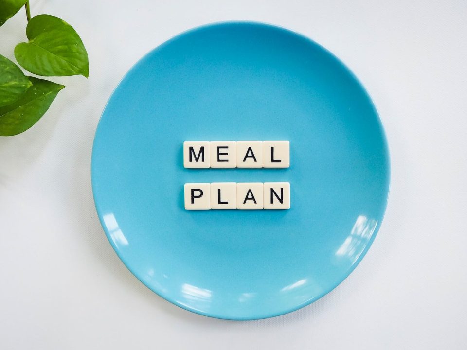 blue ceramic plate with meal plan blocks