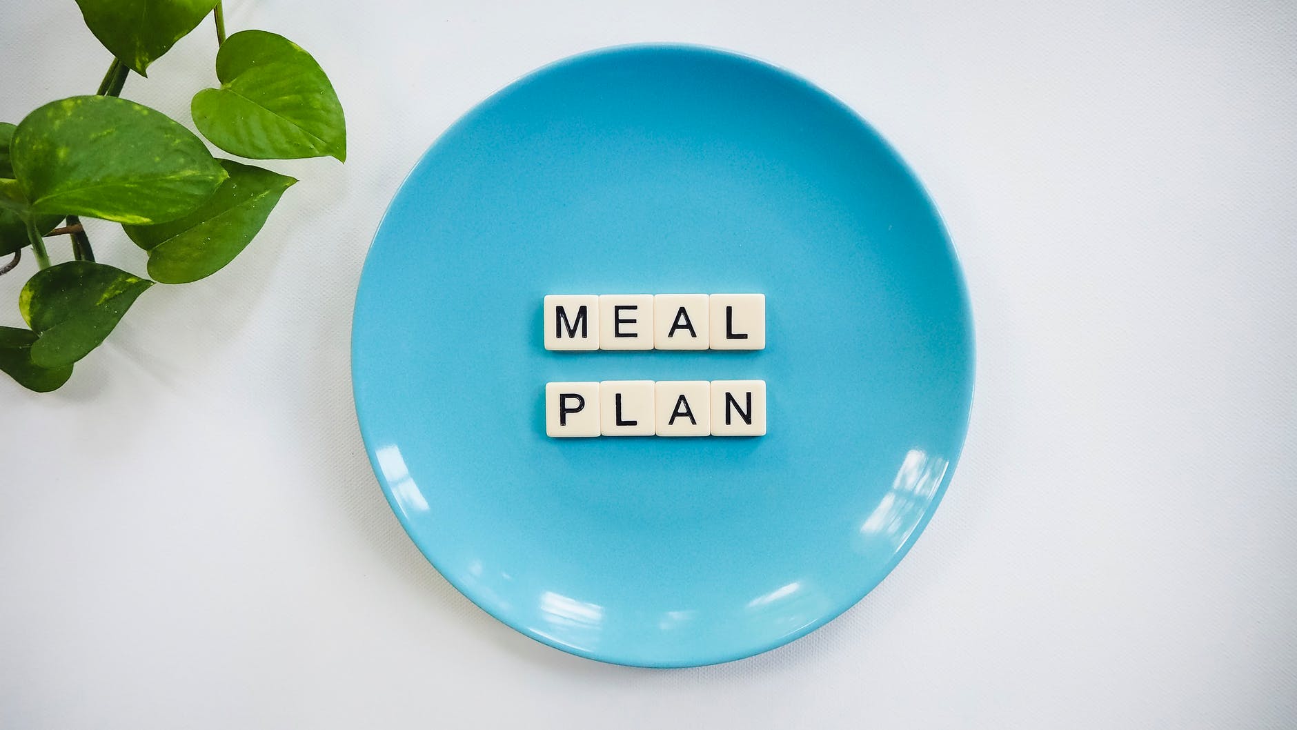 blue ceramic plate with meal plan blocks